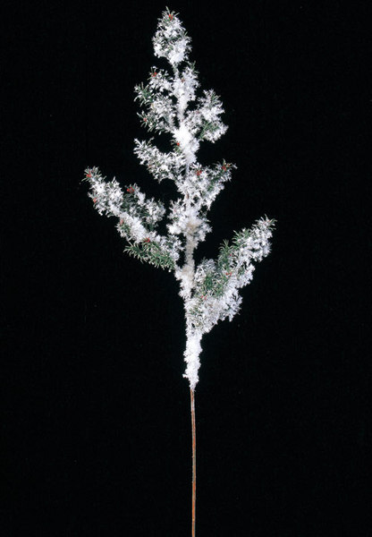 AX64820.jpg