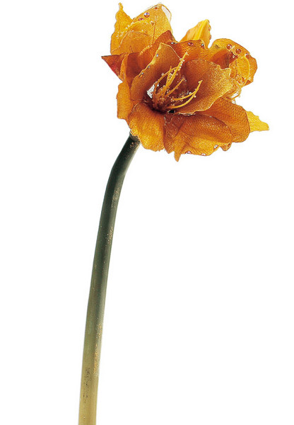 AX65597_040.jpg