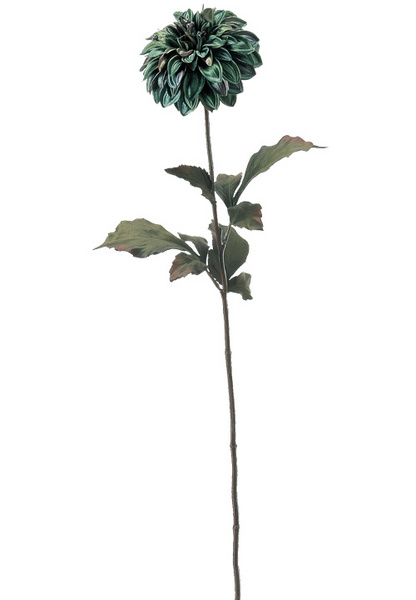 AX65615.jpg