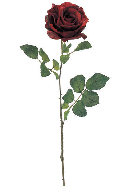 AX65617_002.jpg