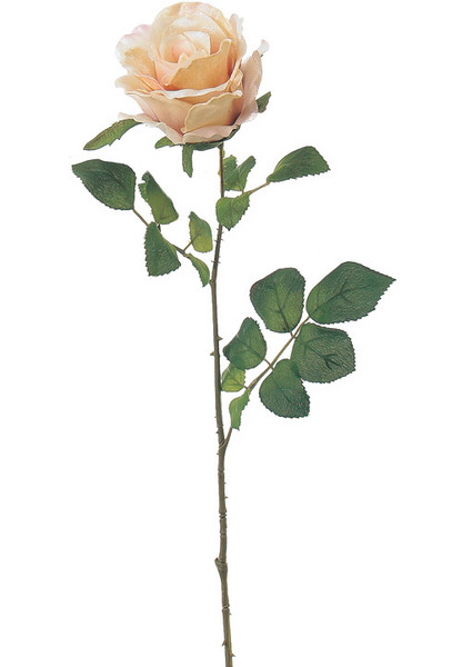 AX65617_004.jpg