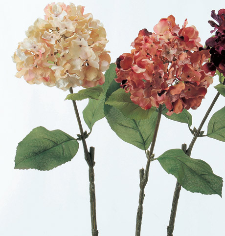 AX65620.jpg