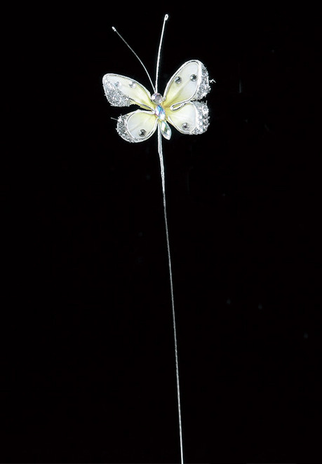 AX66179_001_a.jpg