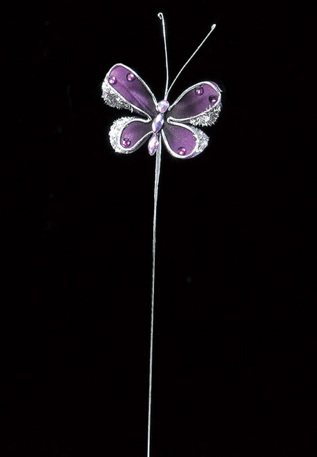 AX66179_007_a.jpg