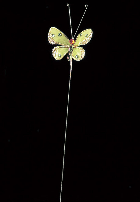 AX66179_051a_a.jpg