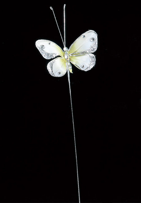 AX66180_001_a.jpg