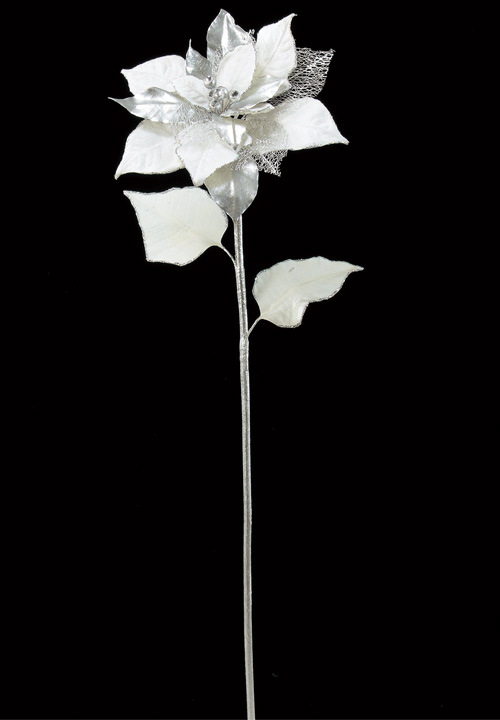 AX66502_a.jpg