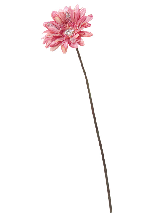 AX66505_a.jpg