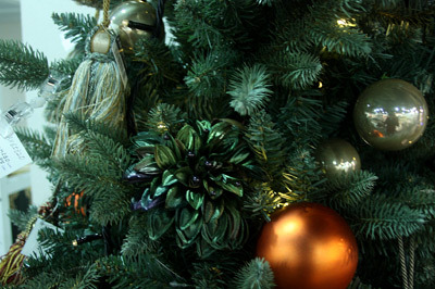 IMG_3831.jpg